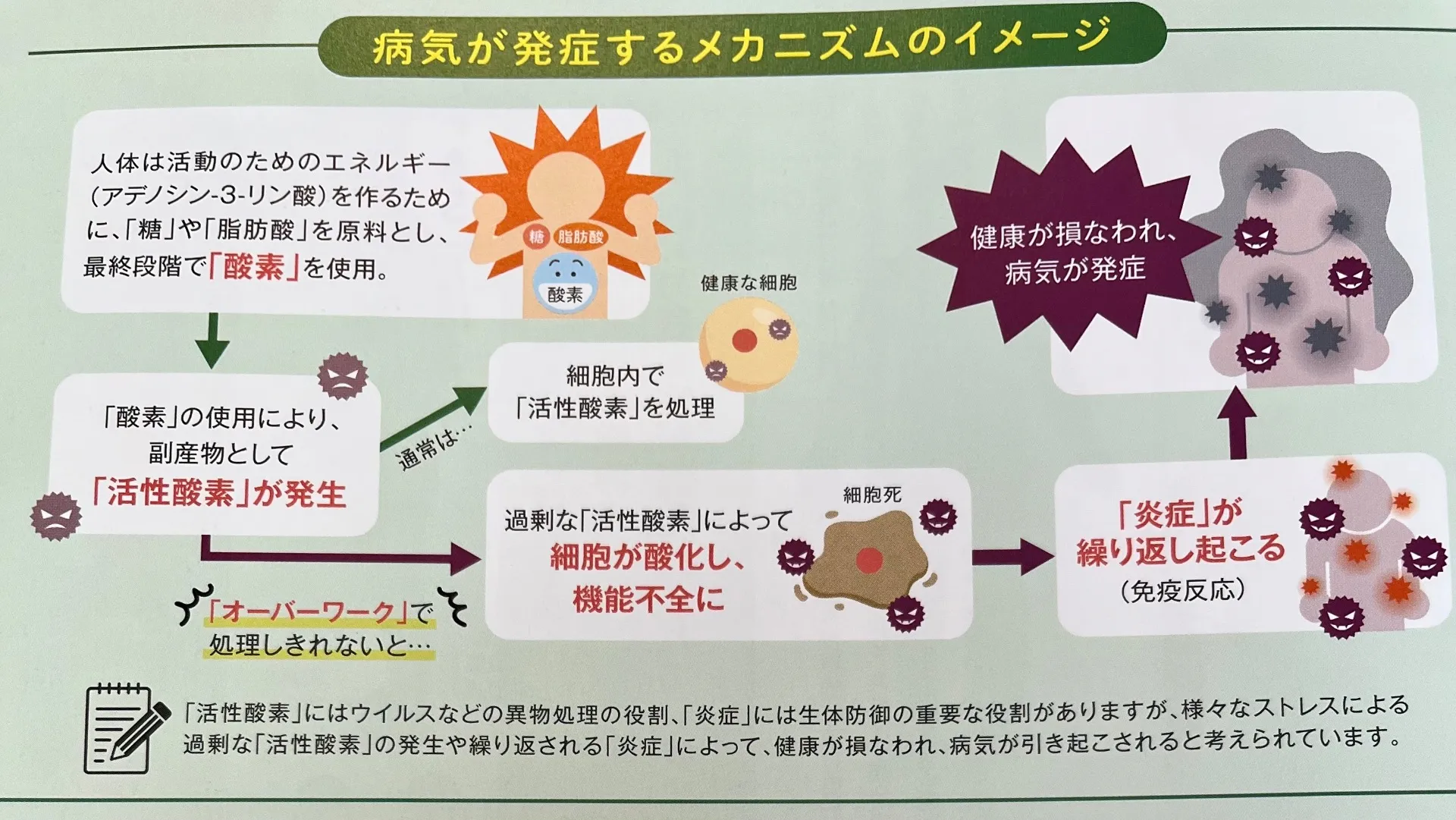 普段何の水をとっていますか？